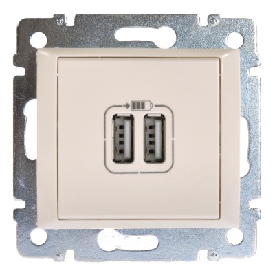 Legrand DIY Valena Слоновая кость Розетка 2-ая USB 