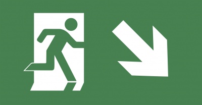 IEK Пиктограмма "ВЫХОД/стрелка напр. вниз" PVC для ССА 3000 LPC10-2-30-15-NAPRVN 