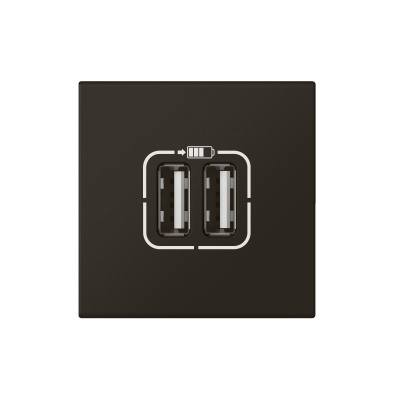 Legrand Mosaiс Розетка USB А+А для зарядки двойная - Программа Mosaic - 2 модуля - матовая черная 