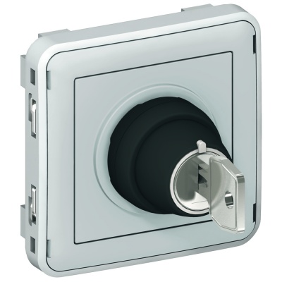 Legrand Plexo Серый Мех Выключатель с ключом 2-х поз. 2НО в ...