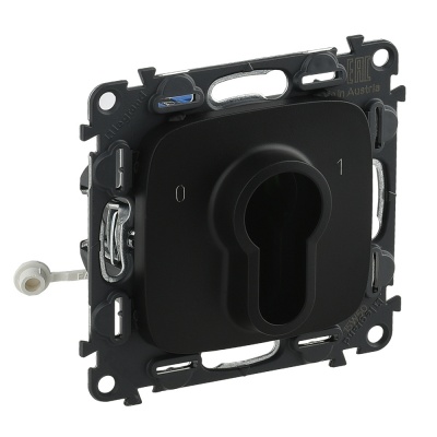 Legrand Valena ALLURE Антрацит Выключатель с ключом, 2 положения, 10А 230Вм (с лицевой панелью) 755238 